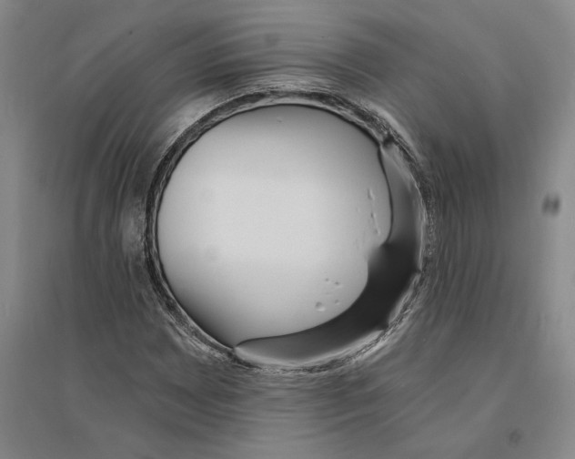 X0000094071065200711161542