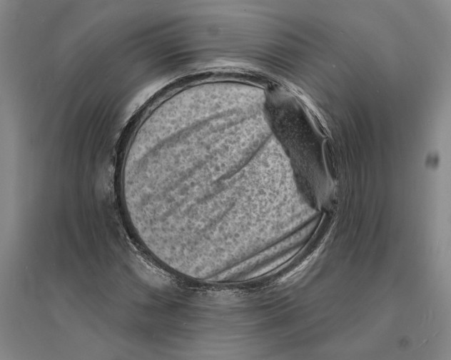 X0000094071066200711161542