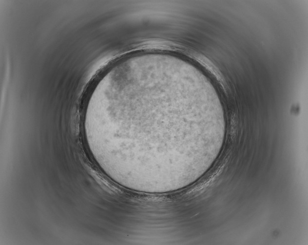 X0000094071067200711161542
