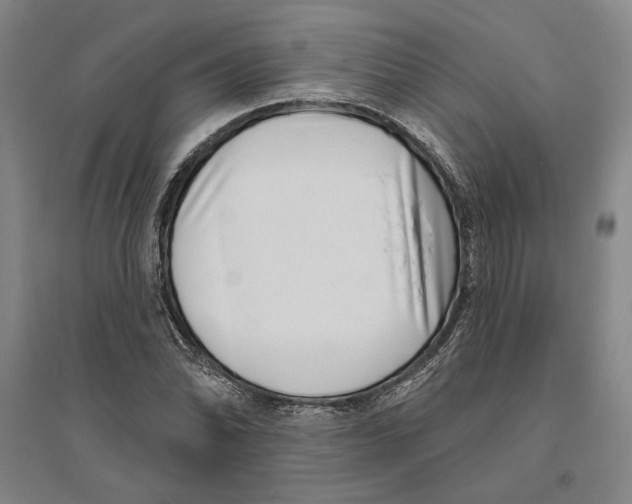 X0000094071070200711161542