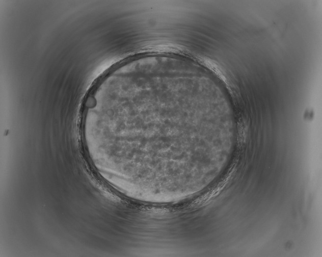 X0000094071071200711161542