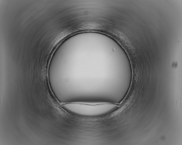 X0000094071073200711161542