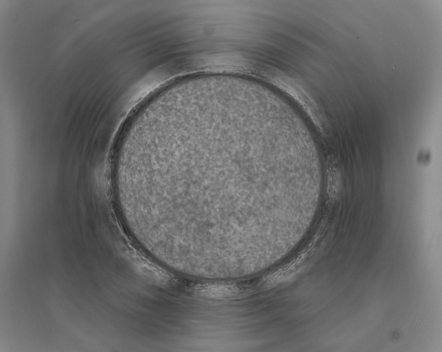 X0000094071074200711161542