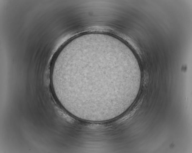 X0000094071075200711161542