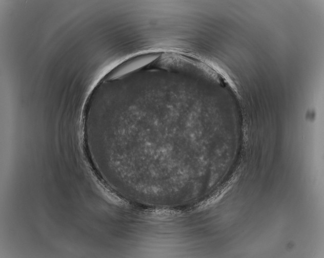 X0000094071077200711161542