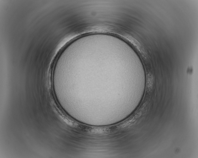 X0000094071078200711161542