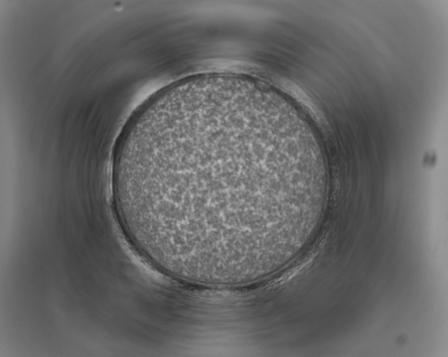 X0000094071079200711161542
