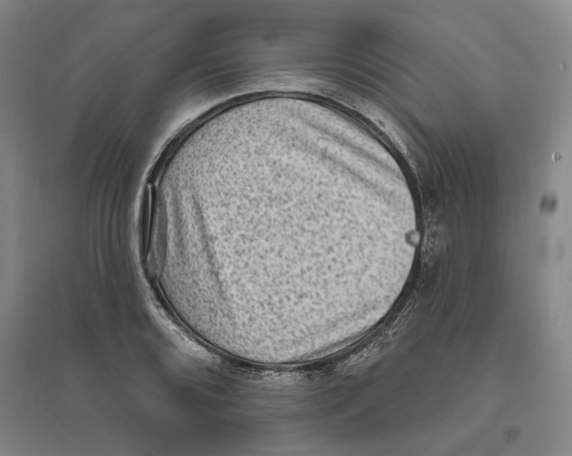 X0000094071080200711161542