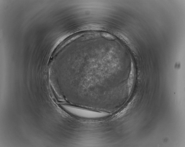 X0000094071081200711161542
