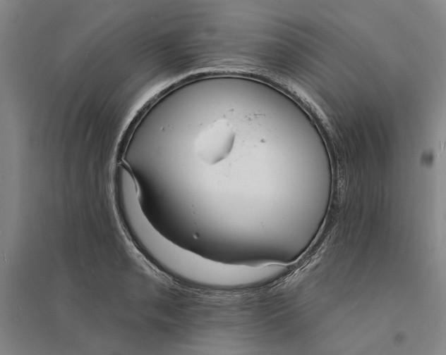 X0000094071085200711161542