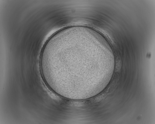 X0000094071086200711161542