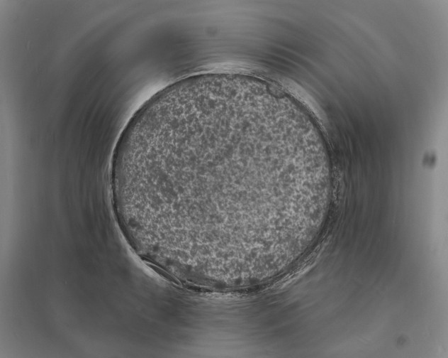 X0000094071087200711161542