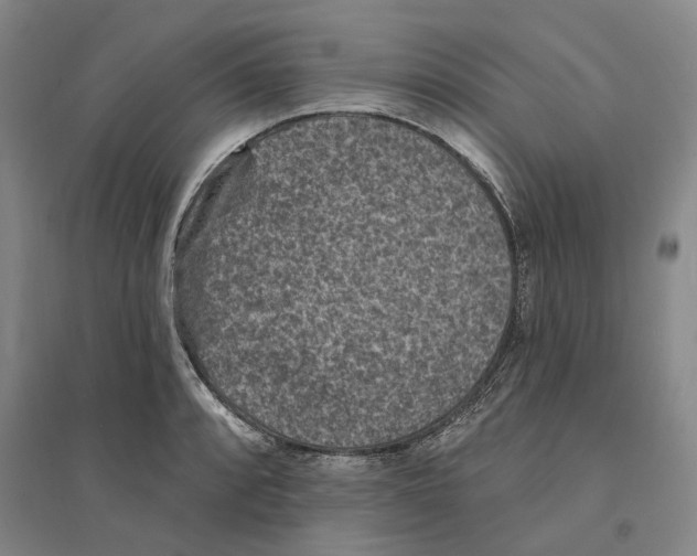 X0000094071088200711161542