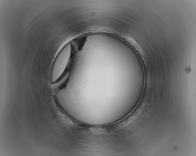 X0000094071089200711161542