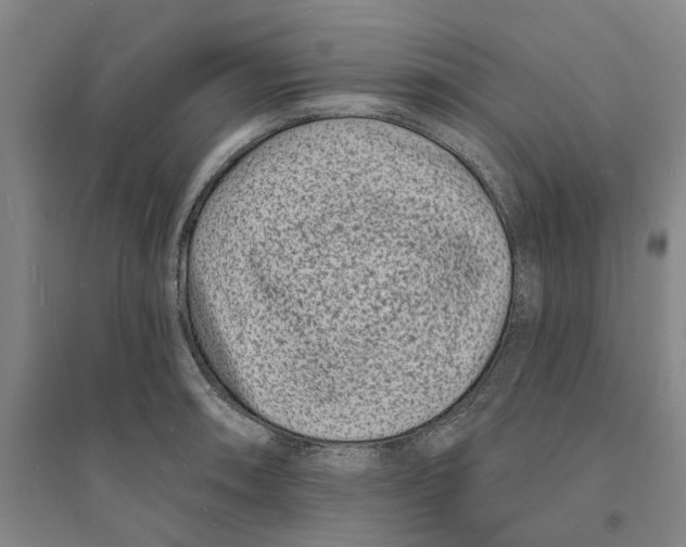 X0000094071090200711161542
