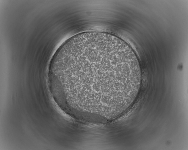 X0000094071091200711161542