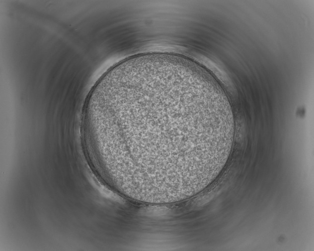 X0000094071094200711161542