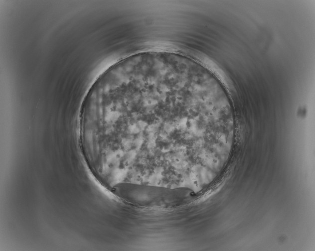 X0000094071095200711161542