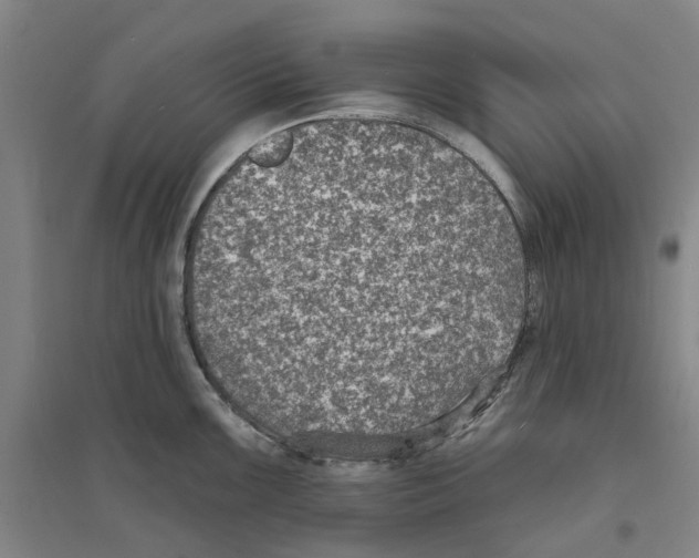 X0000094071099200711161542