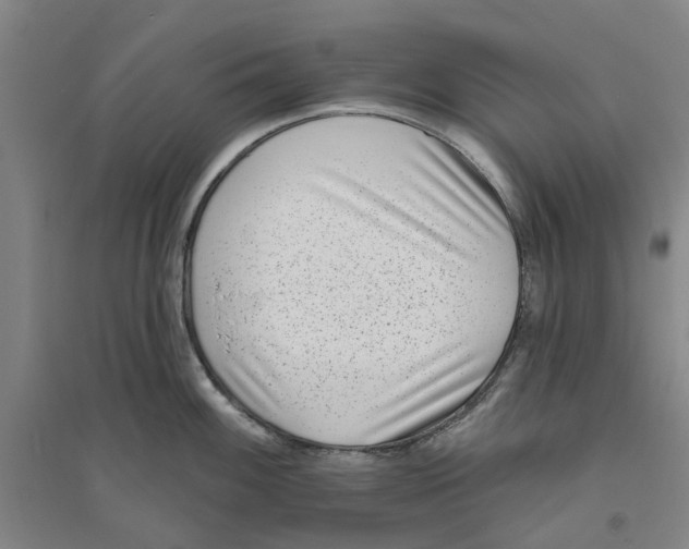 X0000094071100200711161541