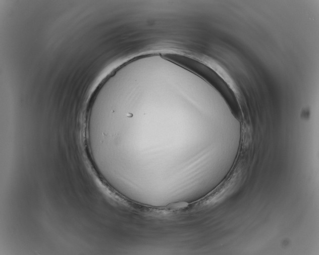 X0000094071101200711161541