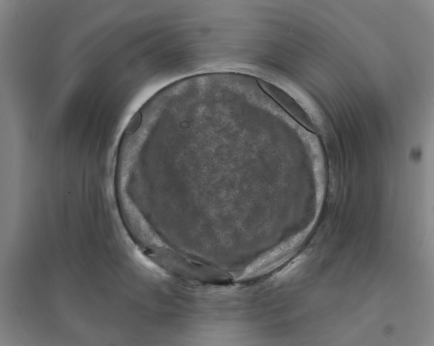 X0000094071102200711161541