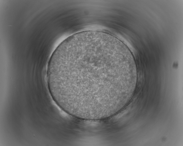 X0000094071103200711161541