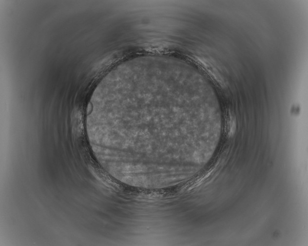 X0000094071106200711161541