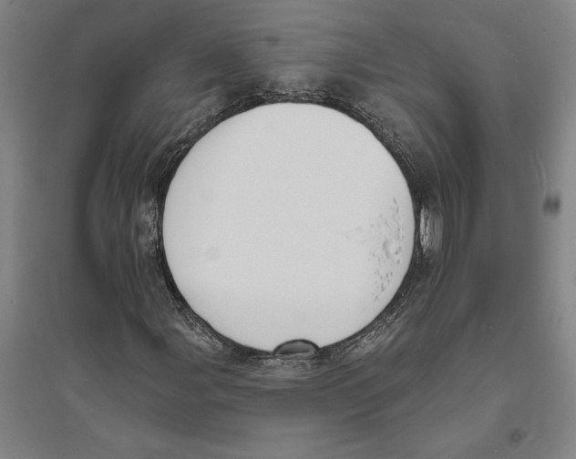 X0000094071107200711161541