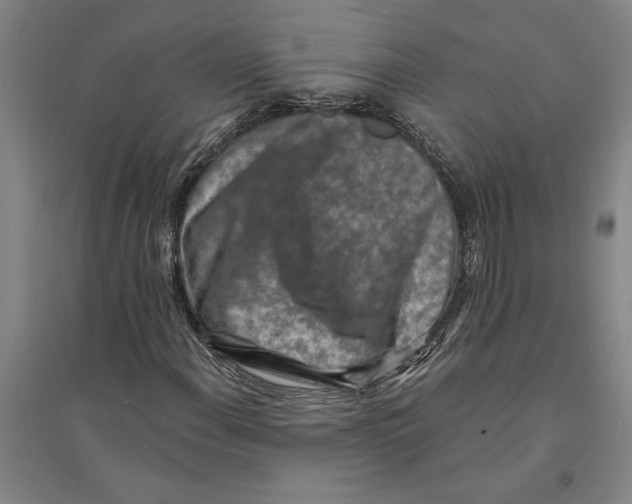 X0000094071108200711161541