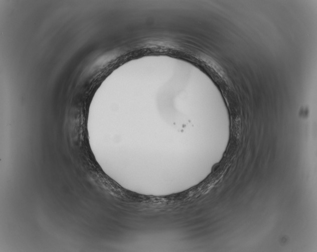 X0000094071111200711161541