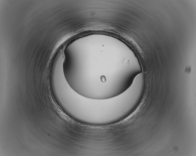 X0000094071114200711161541