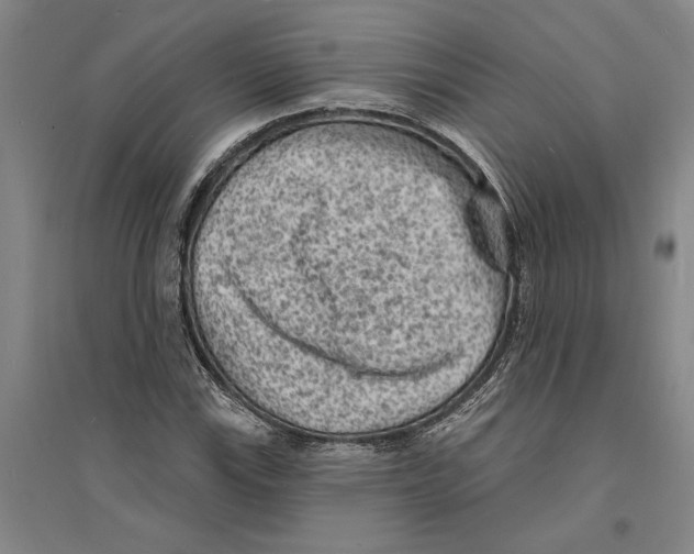 X0000094071115200711161541