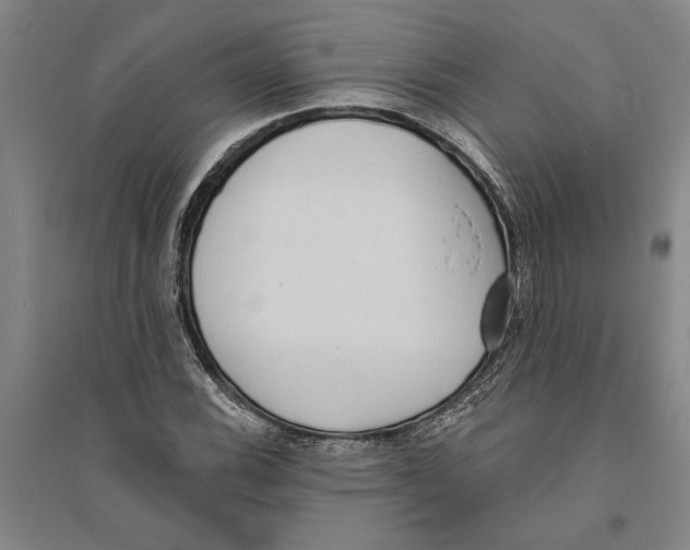 X0000094071116200711161541