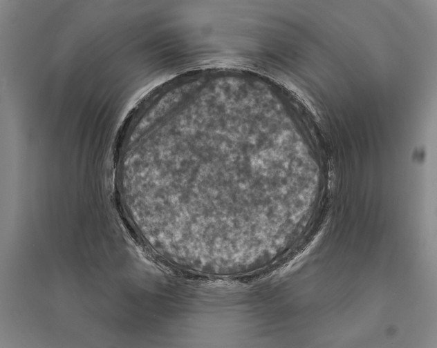 X0000094071117200711161541