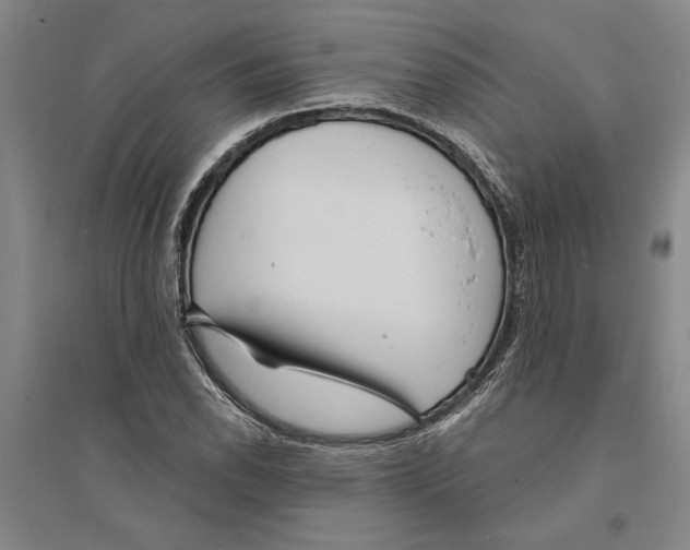X0000094071118200711161541
