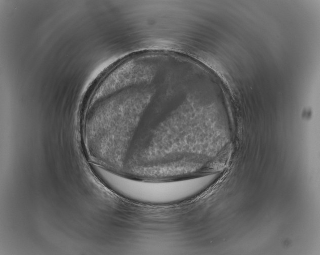 X0000094071120200711161541