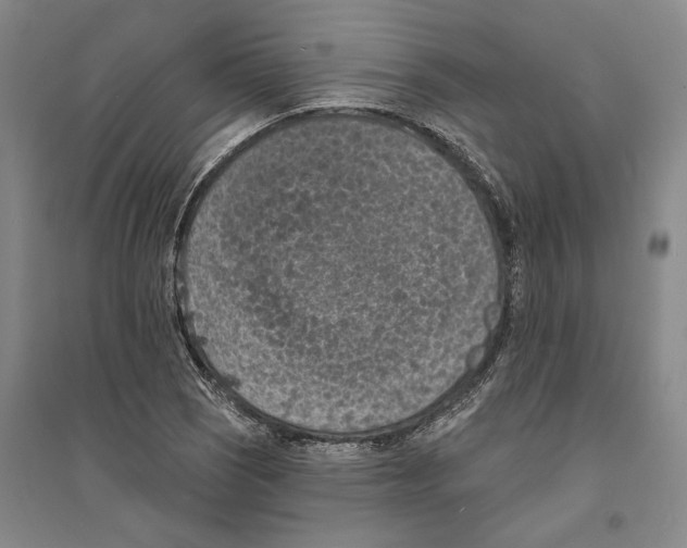 X0000094071121200711161541