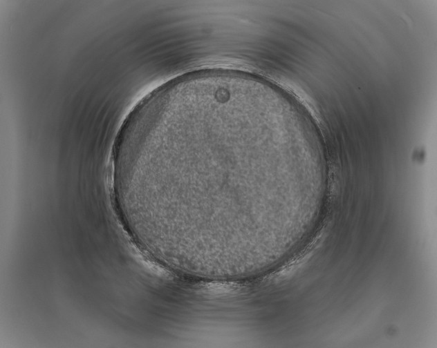 X0000094071125200711161541
