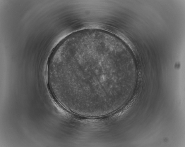 X0000094071127200711161541