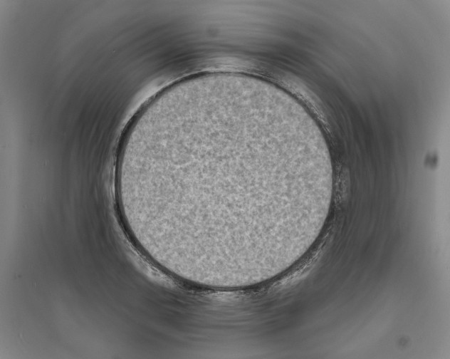 X0000094071130200711161541