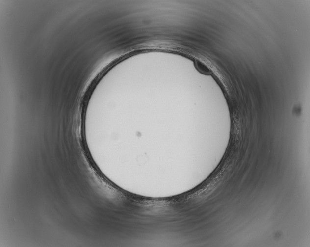 X0000094071131200711161541
