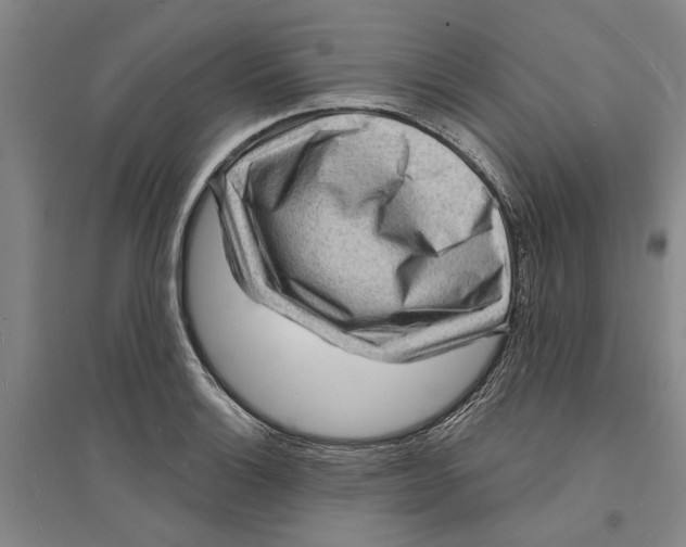 X0000094071132200711161541