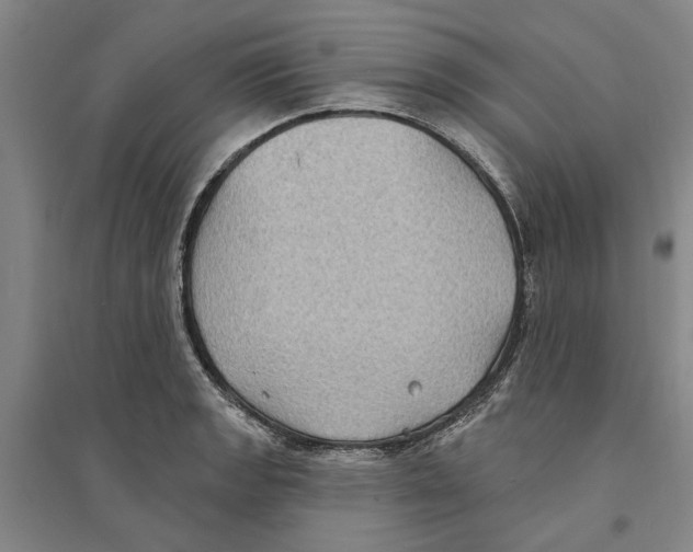 X0000094071133200711161541