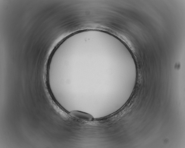 X0000094071136200711161541