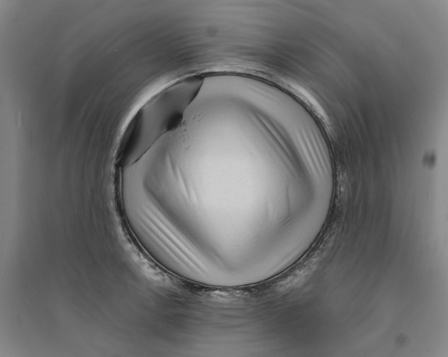 X0000094071138200711161541