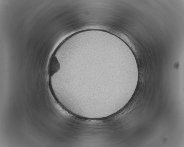 X0000094071140200711161541