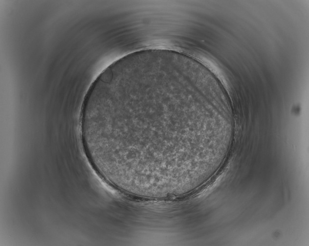 X0000094071141200711161541