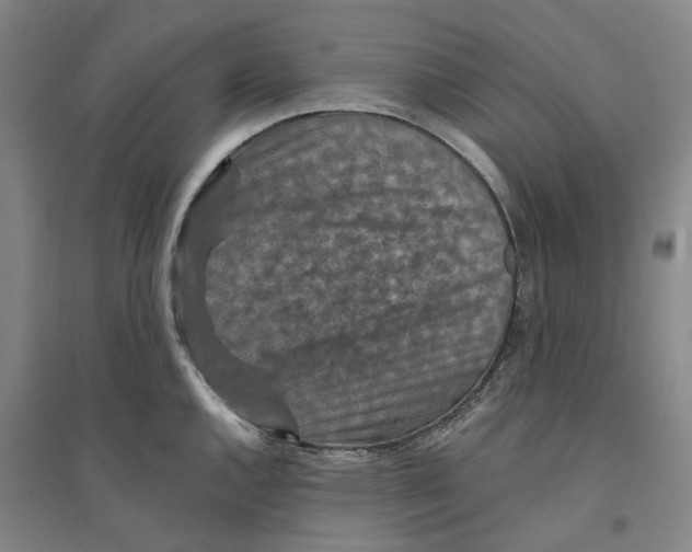 X0000094071144200711161541