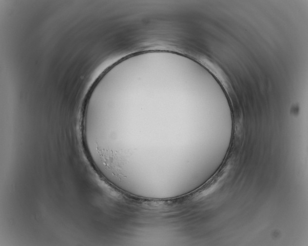 X0000094071149200711161541